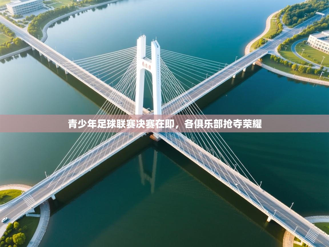 青少年足球联赛决赛在即,各俱乐部抢夺荣耀 第2张