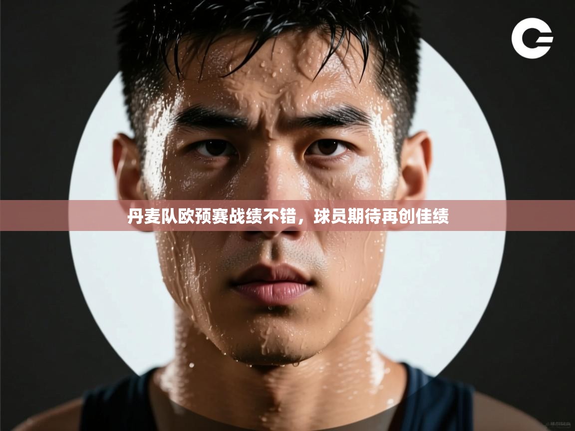 丹麦队欧预赛战绩不错,球员期待再创佳绩 第1张