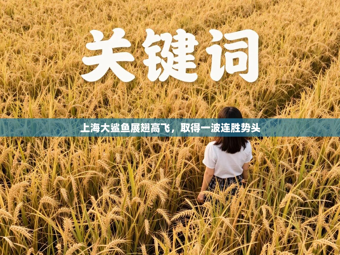 上海大鲨鱼展翅高飞，取得一波连胜势头  第2张