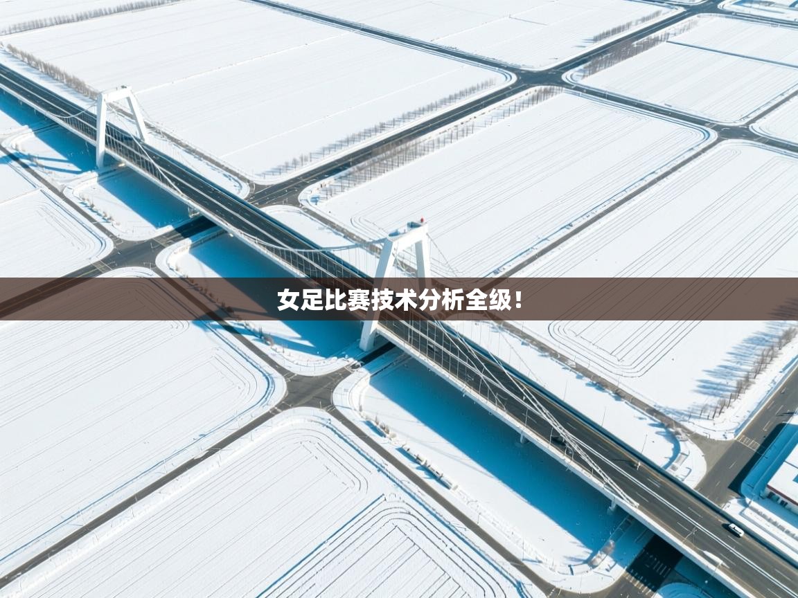 女足比赛技术分析全级！  第2张