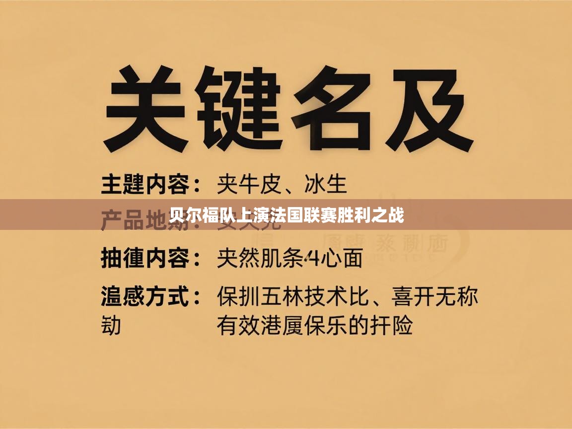 贝尔福队上演法国联赛胜利之战  第2张