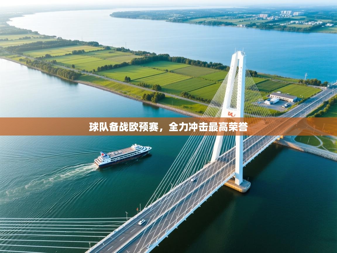 球队备战欧预赛，全力冲击最高荣誉  第1张