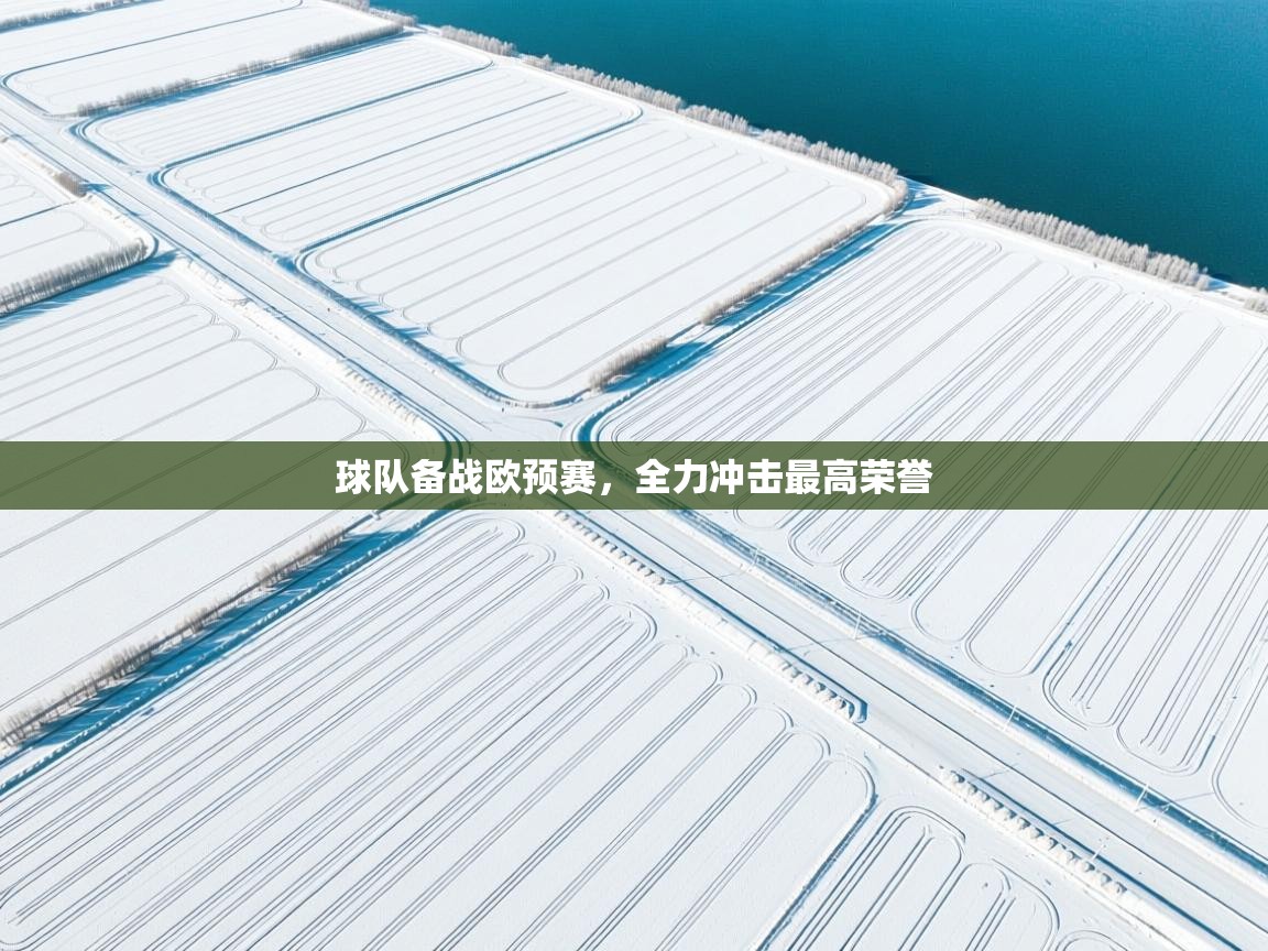 球队备战欧预赛，全力冲击最高荣誉  第2张