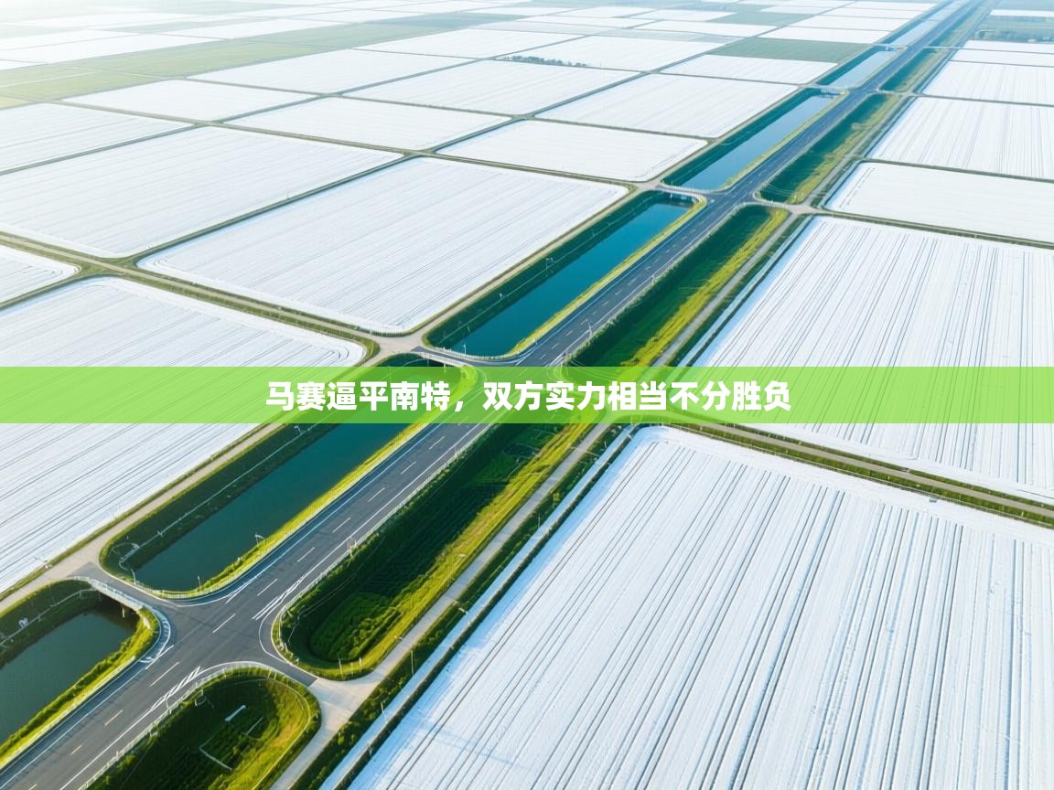 马赛逼平南特，双方实力相当不分胜负  第2张